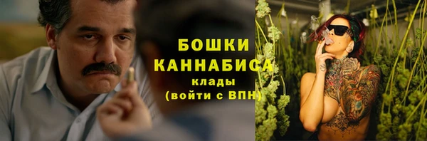 амф Елизово