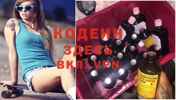 амф Елизово
