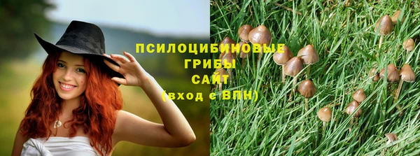 амф Елизово