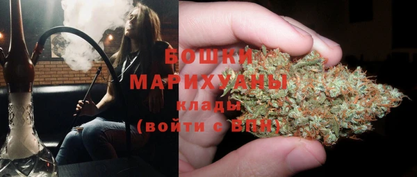 ГАЛЛЮЦИНОГЕННЫЕ ГРИБЫ Заволжье