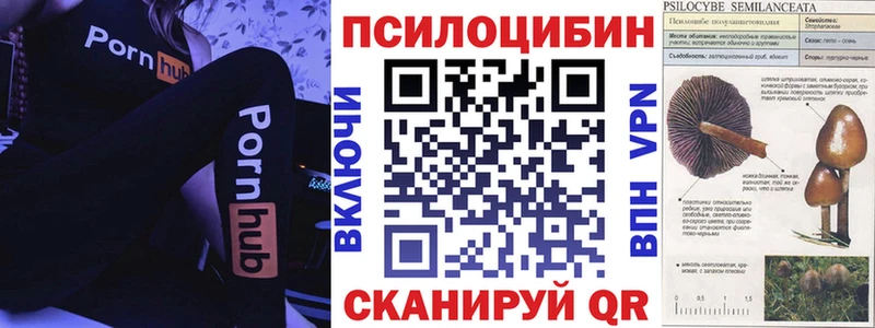 Купить закладки Рыбное Галлюциногенные грибы мицелий